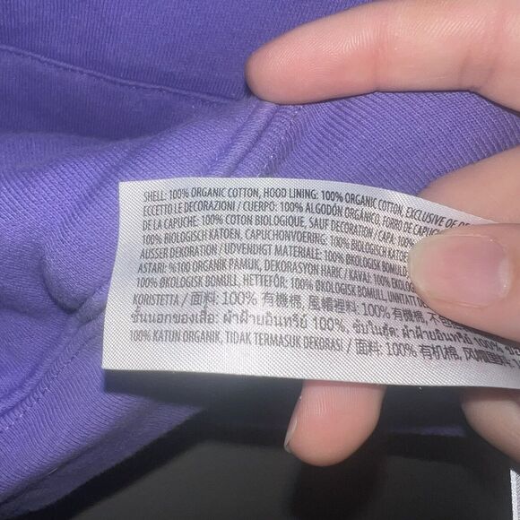 Mickey & Friends Disney 100 Celebration Kids 7/8 Purple Hooded Sweatshirt - Picture 5 of 8